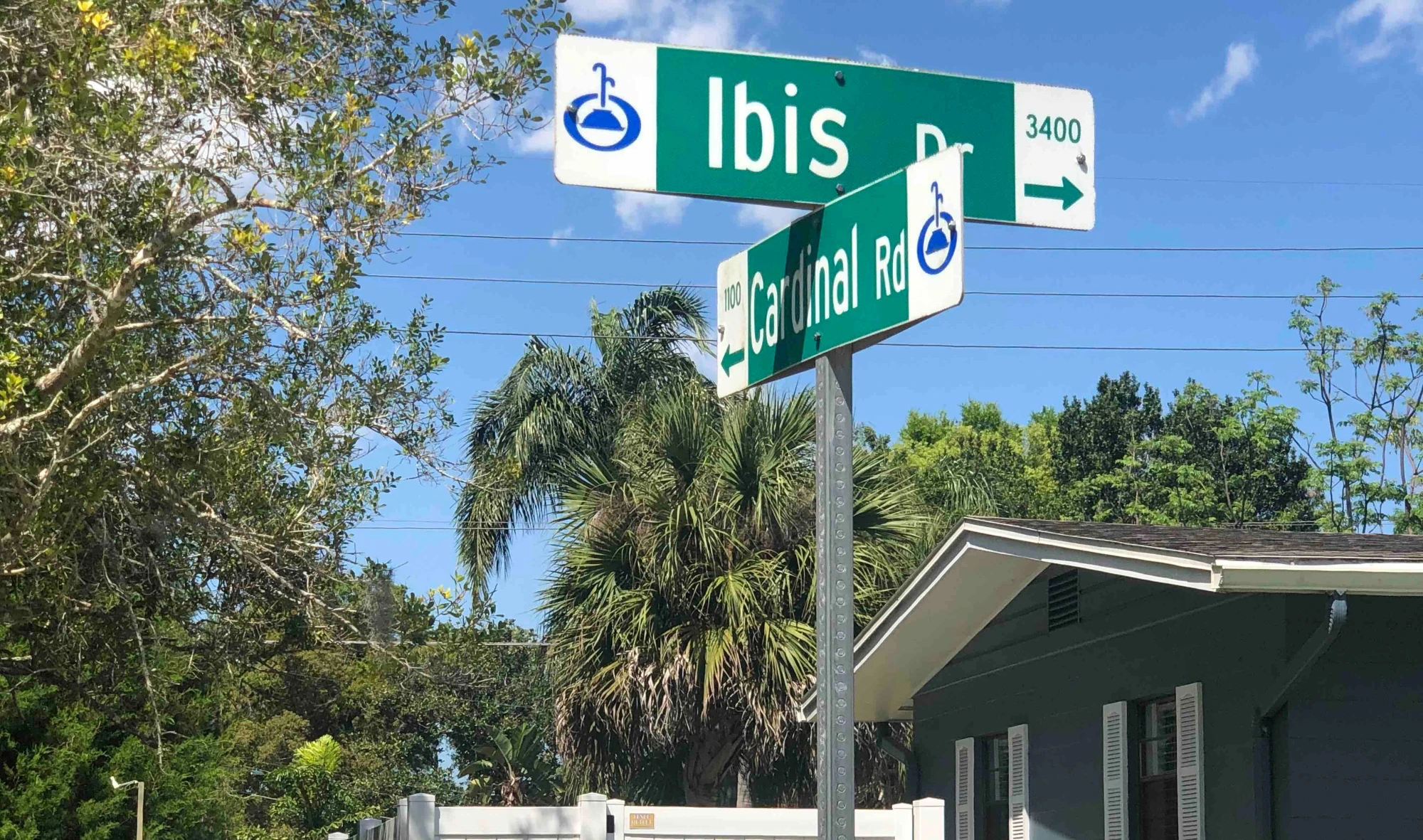 CleverIbisStreets